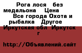 Рога лося , без медальона. › Цена ­ 15 000 - Все города Охота и рыбалка » Другое   . Иркутская обл.,Иркутск г.